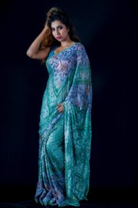 Best Saree Shop In Trivandrum - Georgette / Shiffon